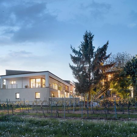 Ferienwohnung Im Vogelgesang W3 Heuchelheim-Klingen Екстер'єр фото